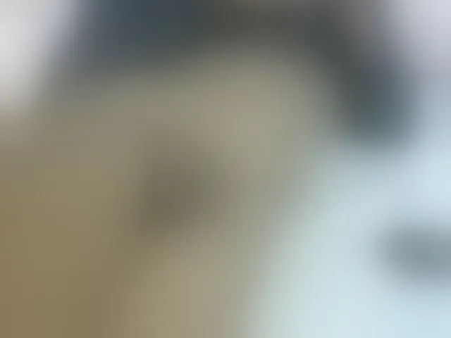 Live sex webcam photo for Cuteavril #293818065
