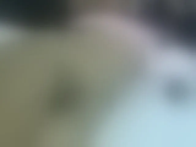 Live sex webcam photo for Cuteavril #293822025
