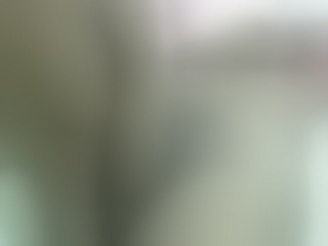 Live sex webcam photo for Cuteavril #294031761