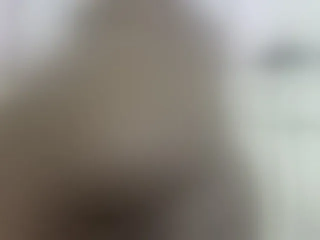 Live sex webcam photo for Cuteavril #294047107