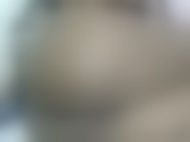 Live sex webcam photo for Cuteavril #294057007