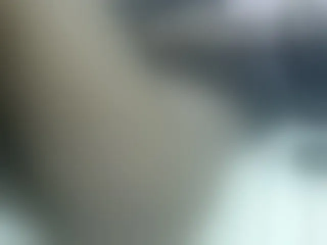 Live sex webcam photo for Cuteavril #294066610