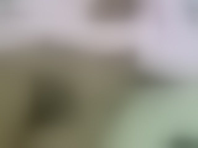 Live sex webcam photo for Cuteavril #294075517