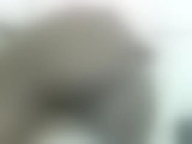 Live sex webcam photo for Cuteavril #294076955