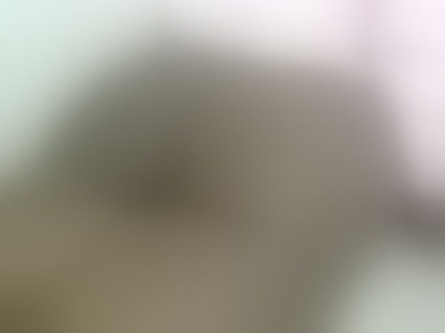 Live sex webcam photo for Cuteavril #294082270