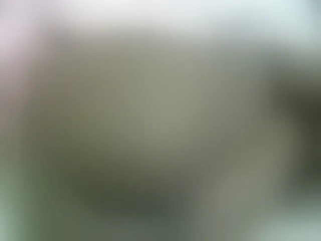 Live sex webcam photo for Cuteavril #294088477