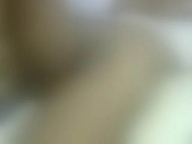 Live sex webcam photo for Cuteavril #294108724