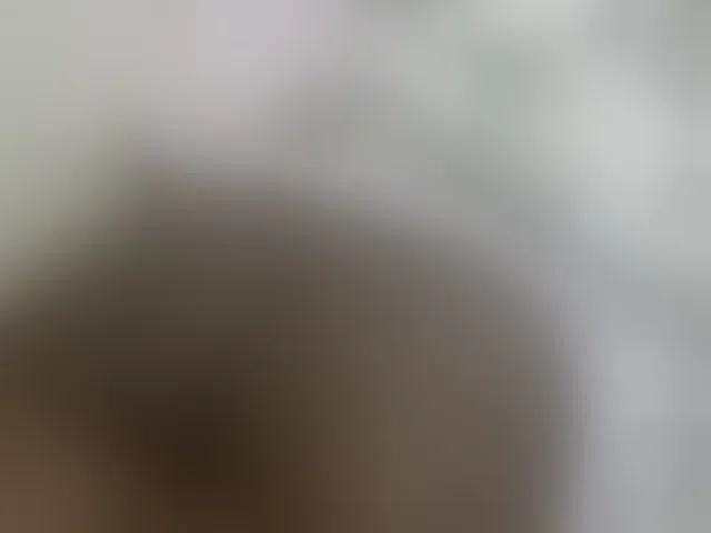 Live sex webcam photo for Cuteavril #294112559
