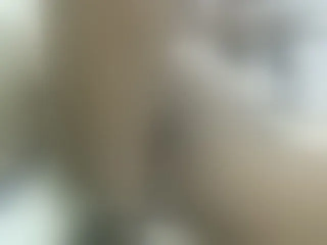 Live sex webcam photo for Cuteavril #294136976
