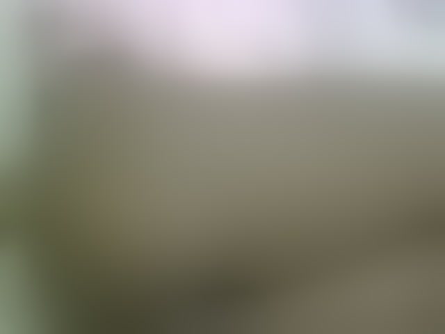 Live sex webcam photo for Cuteavril #294162274