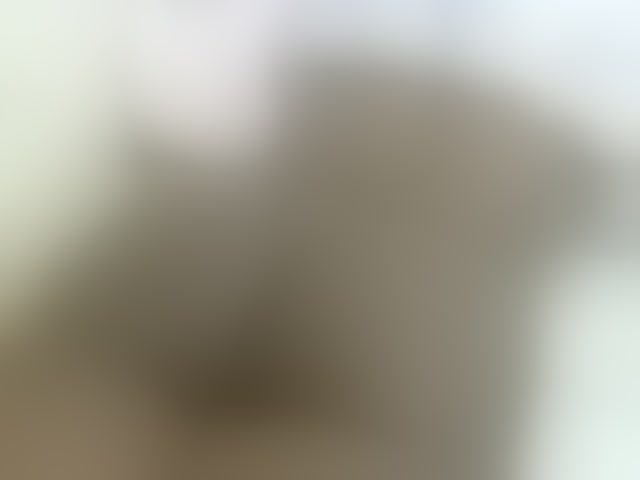 Live sex webcam photo for Cuteavril #294167301