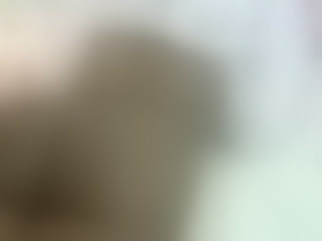 Live sex webcam photo for Cuteavril #294168772