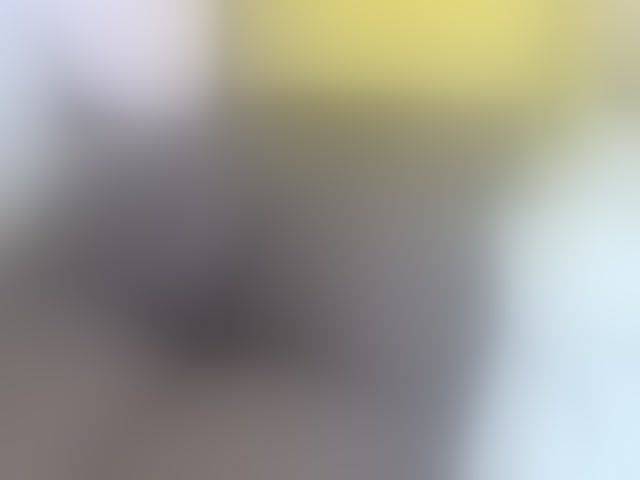 Live sex webcam photo for Cuteavril #294178071