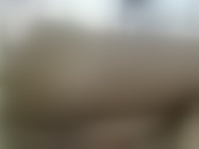 Live sex webcam photo for Cuteavril #294187781