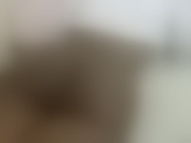 Live sex webcam photo for Cuteavril #294188946