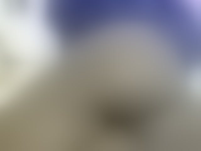 Live sex webcam photo for Cuteavril #294193573