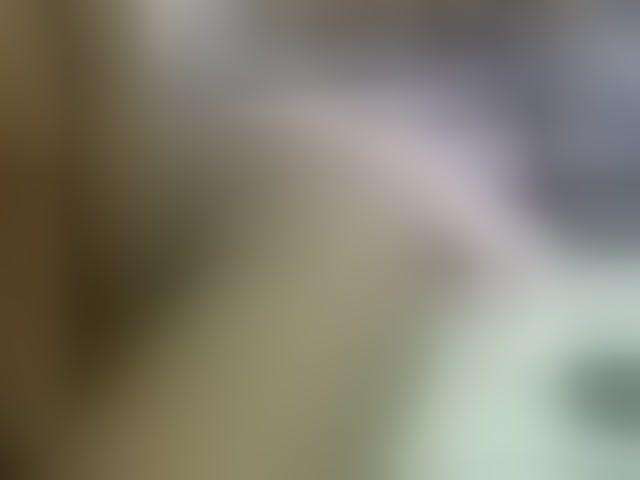 Live sex webcam photo for Cuteavril #294223885