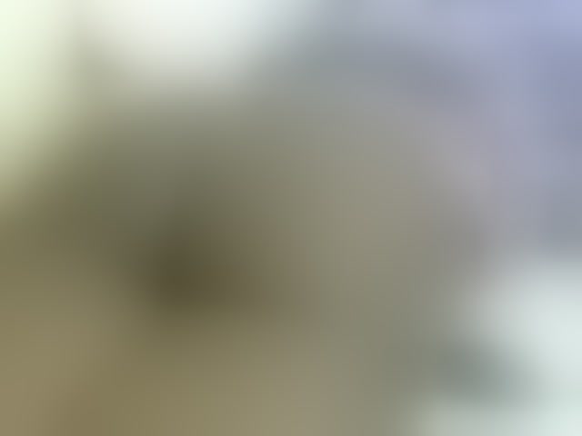 Live sex webcam photo for Cuteavril #294225174