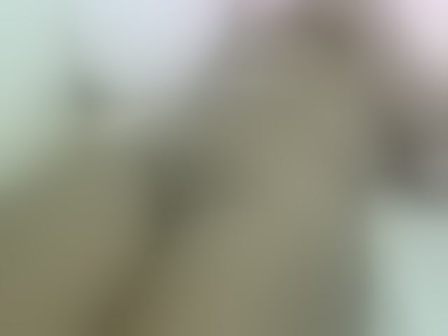 Live sex webcam photo for Cuteavril #294229319