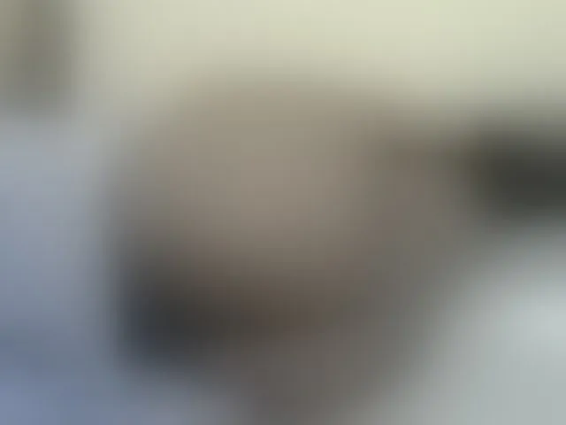Live sex webcam photo for Cutesweetness #293567806