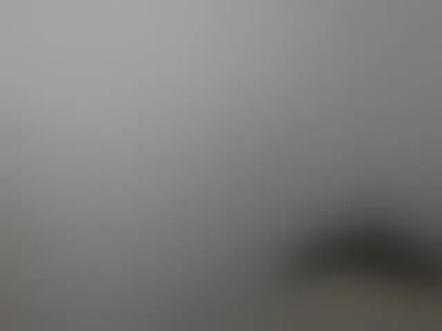 Live sex webcam photo for Cutie12 #292103033