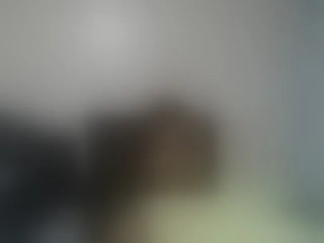Live sex webcam photo for Cutie12 #293638552