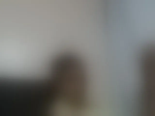 Live sex webcam photo for Cutie12 #293642657