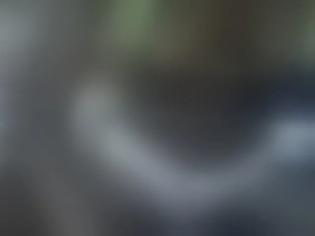 Live sex webcam photo for Cutteyslim9 #293019996