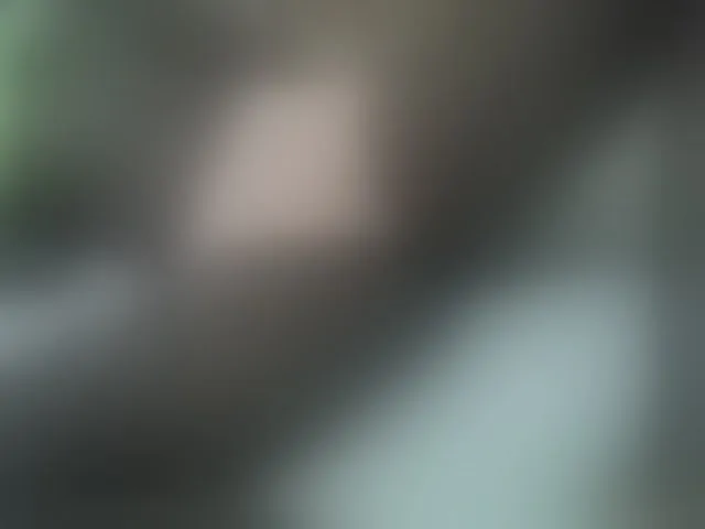 Live sex webcam photo for Cutteyslim9 #294075626