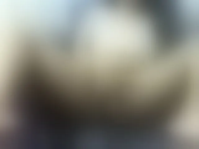 Live sex webcam photo for Cyah2 #293935382