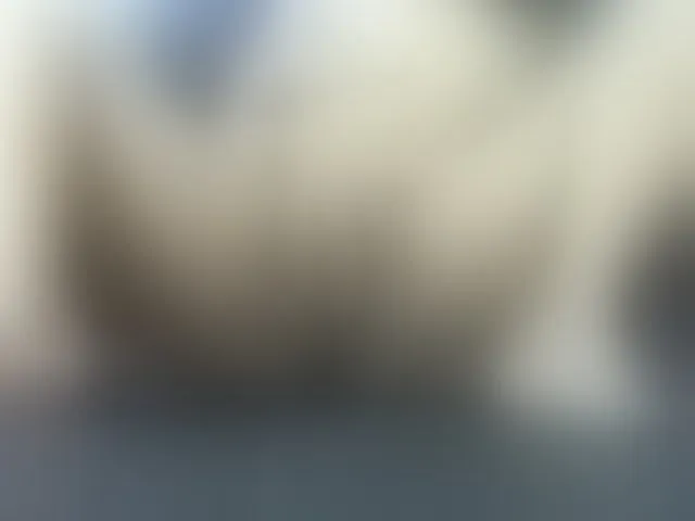 Live sex webcam photo for Cyah2 #293958431