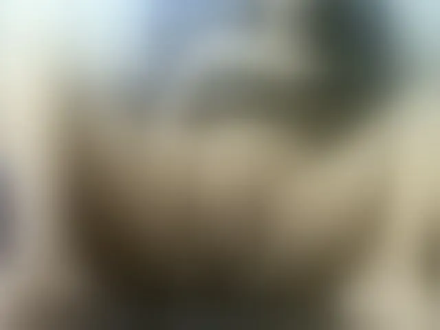 Live sex webcam photo for Cyah2 #294165168
