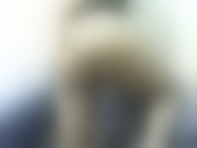 Live sex webcam photo for Cyah2 #294297475
