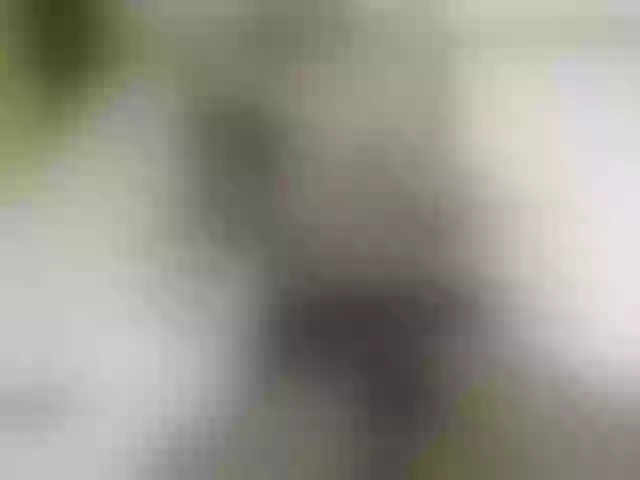 Live sex webcam photo for Cynne #291927730