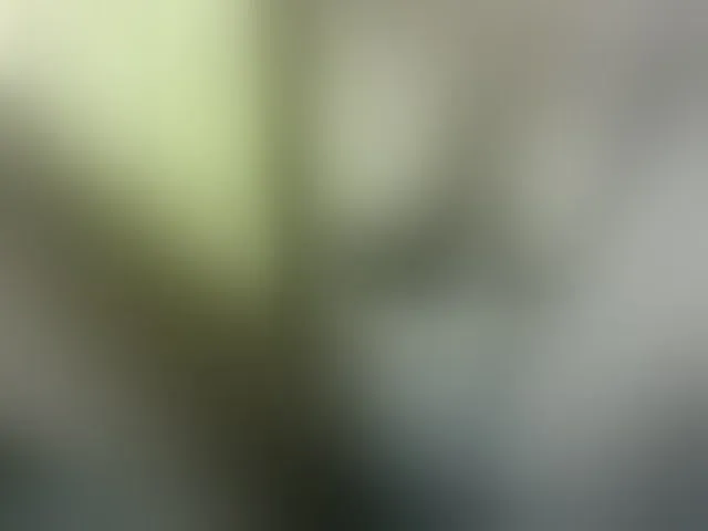 Live sex webcam photo for Cynne #293675760