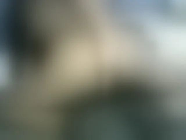 Live sex webcam photo for Cynne #294043803