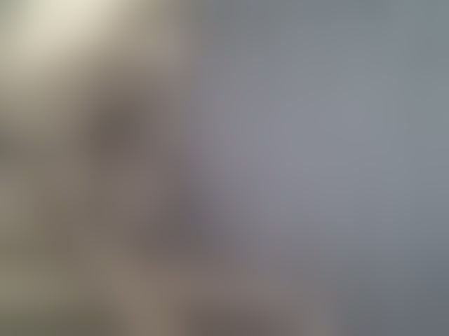 Live sex webcam photo for Cynne #294229729