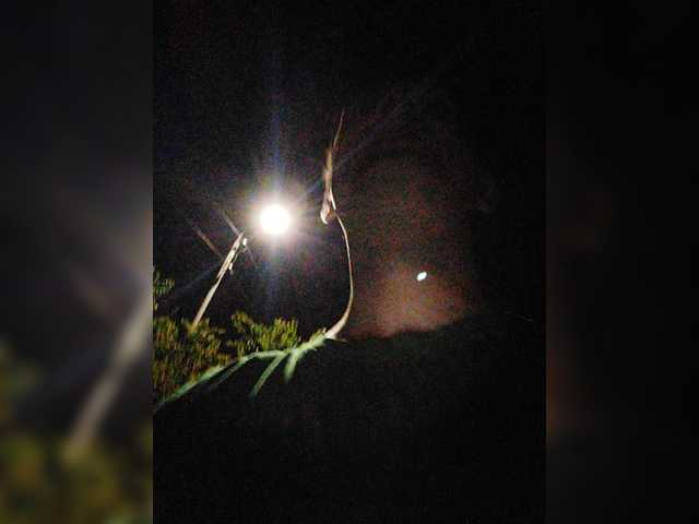 Live sex webcam photo for DRO4444ERRRR #276014131