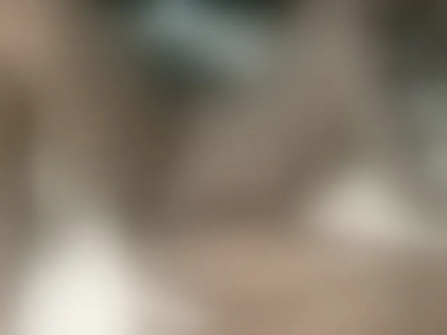 Live sex webcam photo for Dahliah #292588111