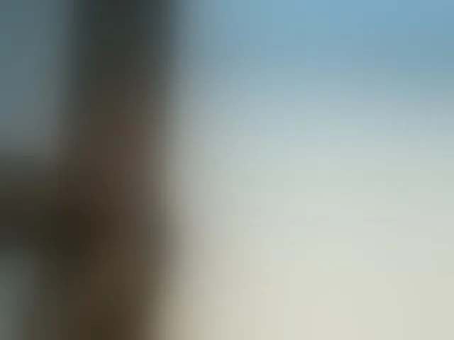 Live sex webcam photo for Dahliah #293967811