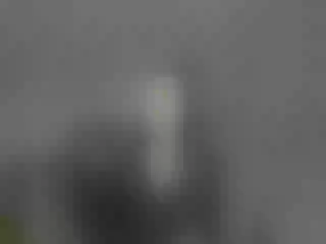 Live sex webcam photo for Daineko12 #292005170