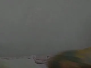 Live sex webcam photo for DaissyRutti #189678530