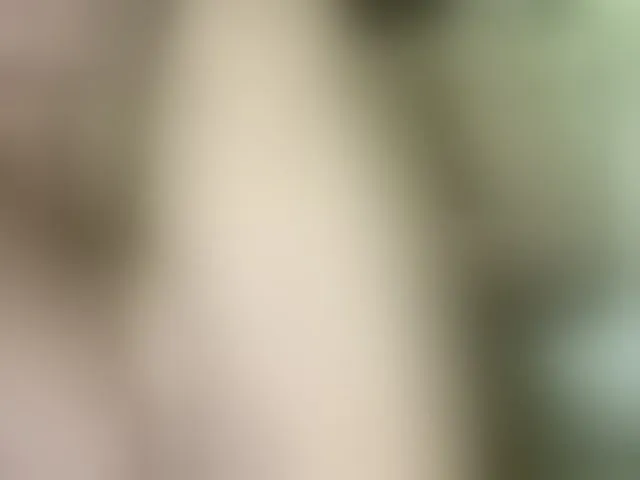 Live sex webcam photo for Daisy119 #292213912