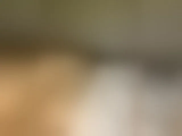 Live sex webcam photo for Daisy119 #292237370