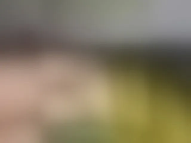 Live sex webcam photo for Daisy119 #292449669