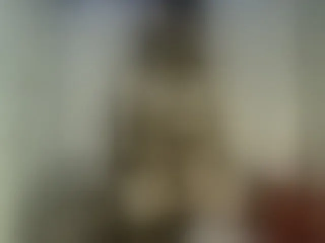 Live sex webcam photo for DaisyHawk #293152642