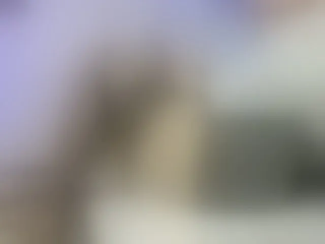 Live sex webcam photo for Dakotacarvajal #293209396