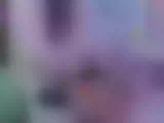 Live sex webcam photo for DaliaTaleb #277504438