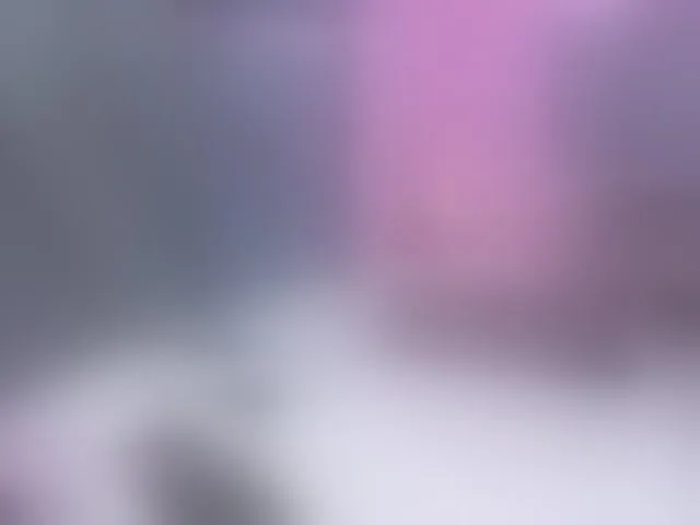 Live sex webcam photo for DalisHills #292539807