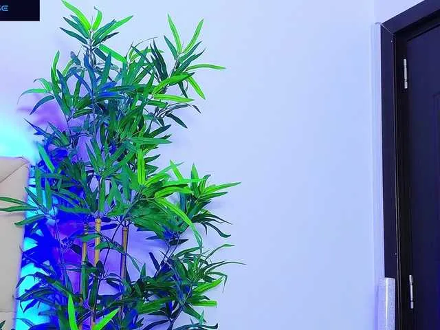 Live sex webcam photo for DaliyaArabian #290801770